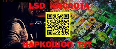 mdpv Гатчина