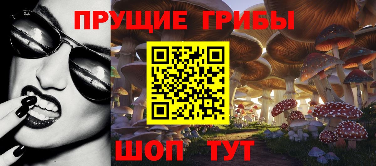 Галлюциногенные грибы Psilocybine cubensis Сланцы